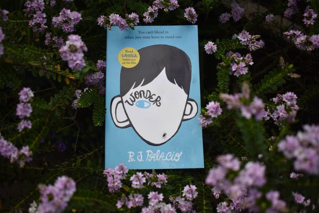 Books About Kindness for Kids: Book 'Wonder' with purple flowers behind