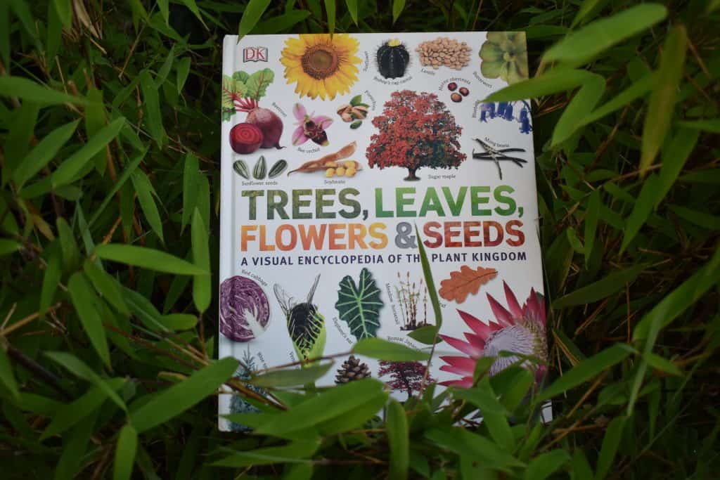 Book 'Trees, Leaves, Flowers and Seeds' surrounded by grass