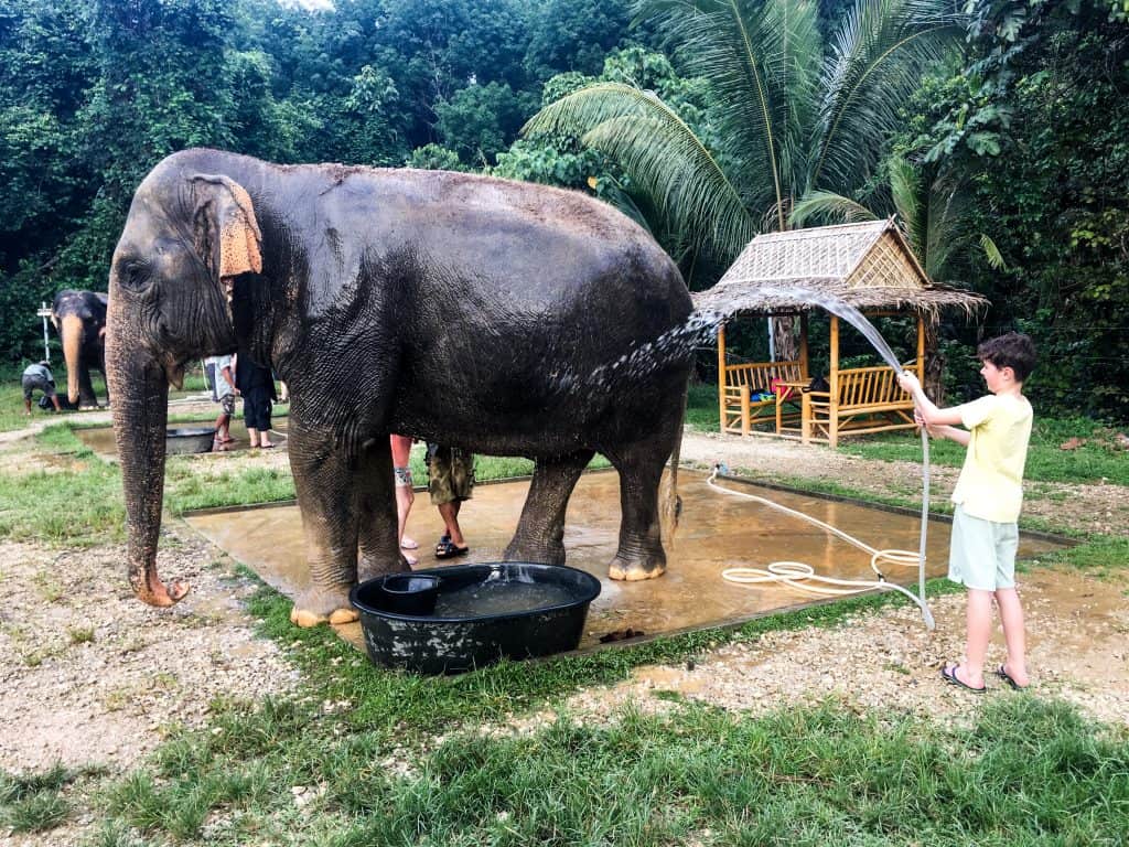 Boy washing an elephant with a hose at Elephant Hills, Thailand