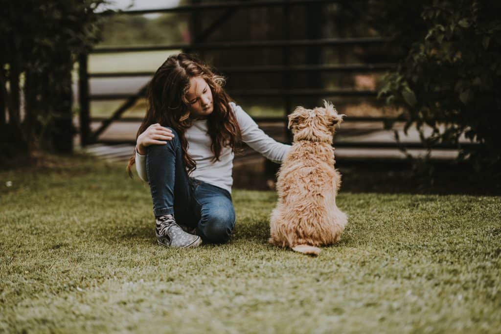 Girl stroking a dog in front of a gate