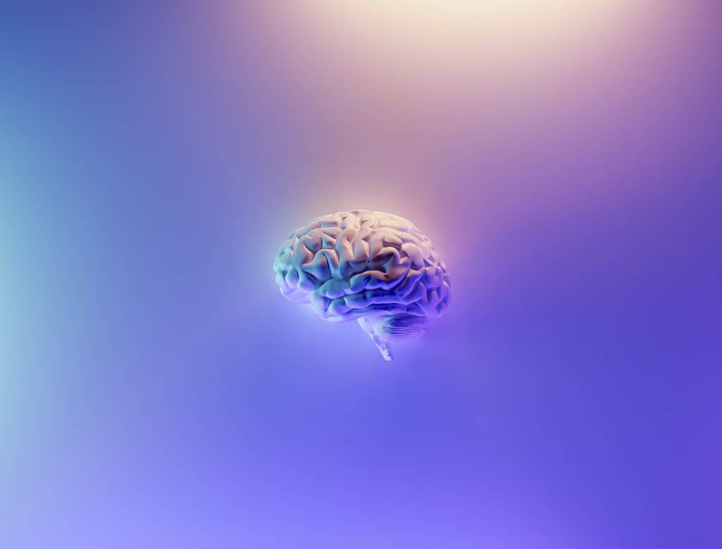A brain with purple background