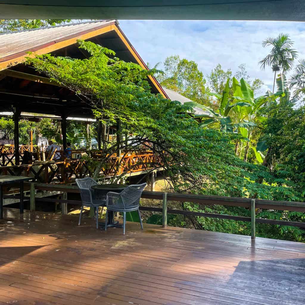 Jungle lodge in Borneo in amongst lots of green plants and trees
