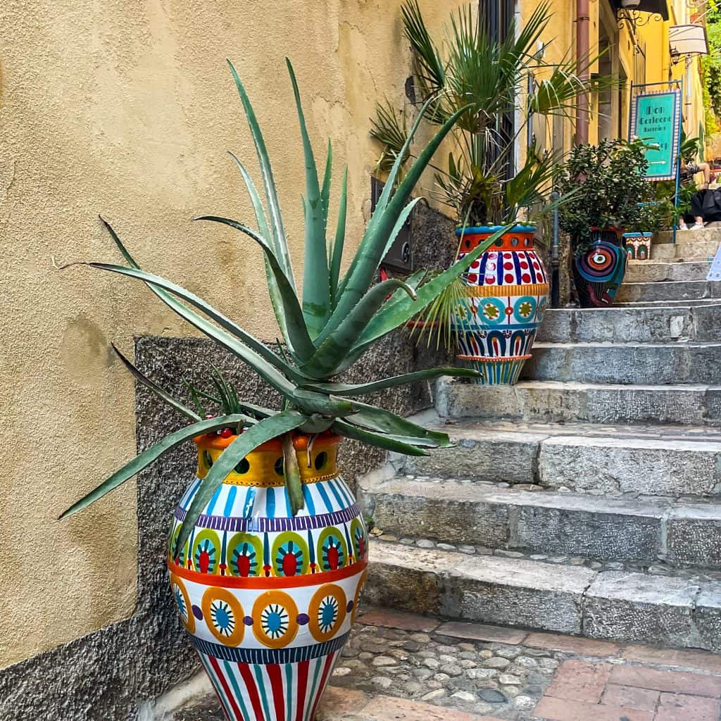 Colourful plant pots on stone steps
