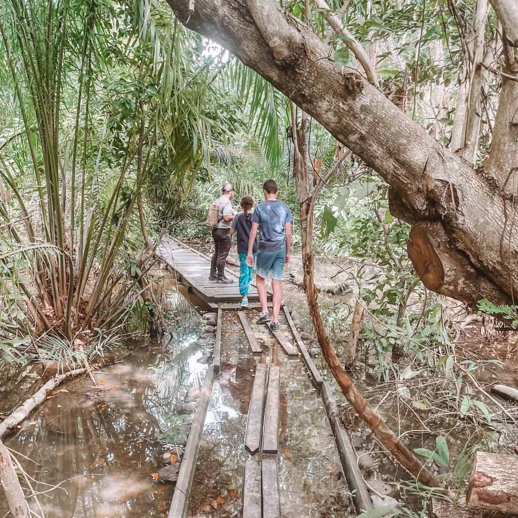 Man and children walking in rainforest