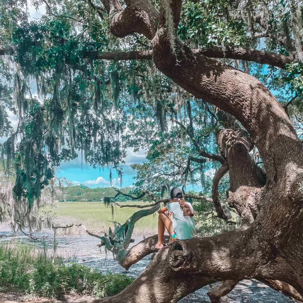Child sitting on a tree