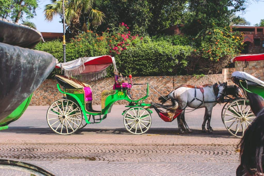 Horse and carriage in Marrakech