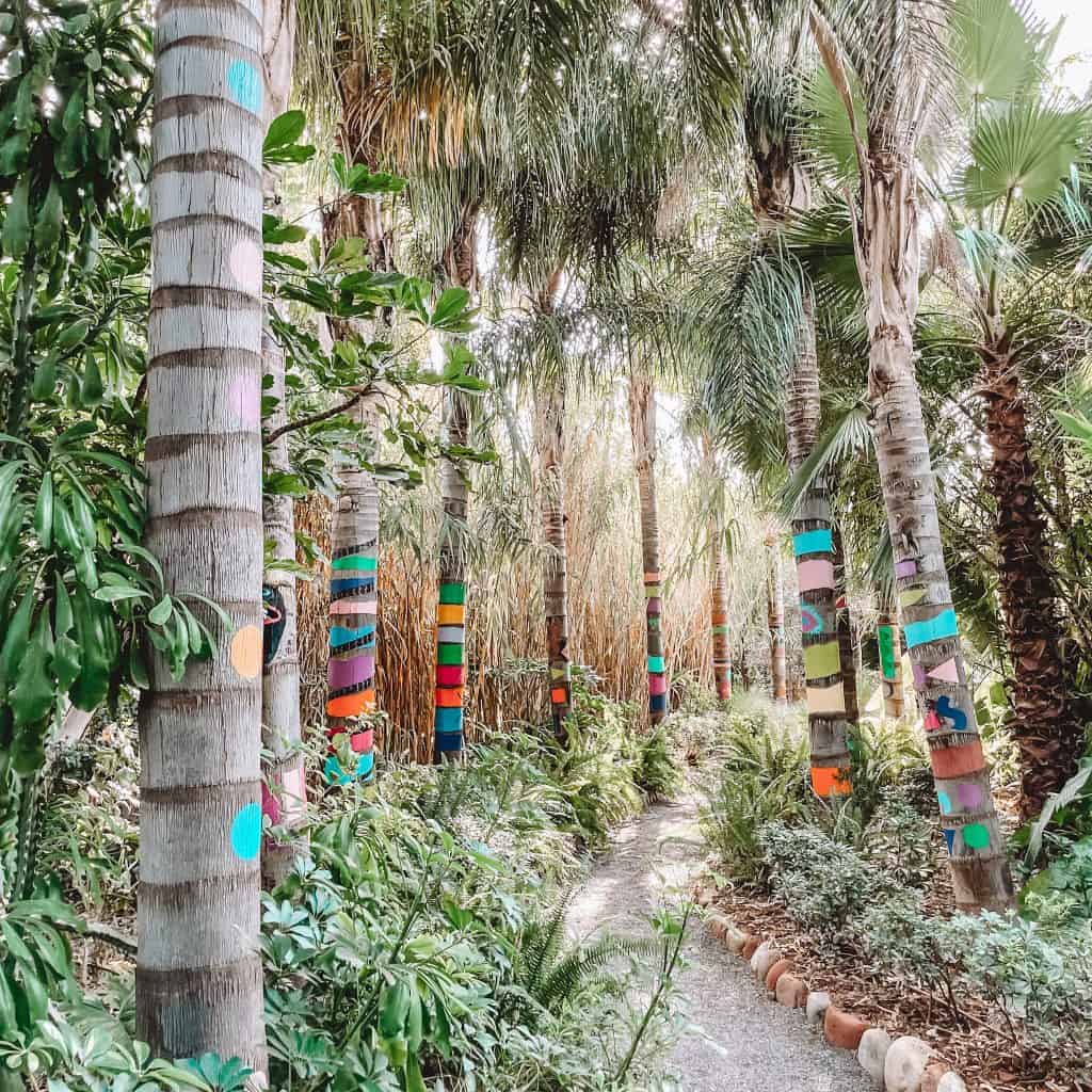Palm trees with colourful painted patterns on their trunks