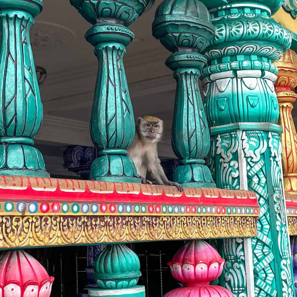 A monkey peering out from a temple at Batu Caves Kuala Lumpur