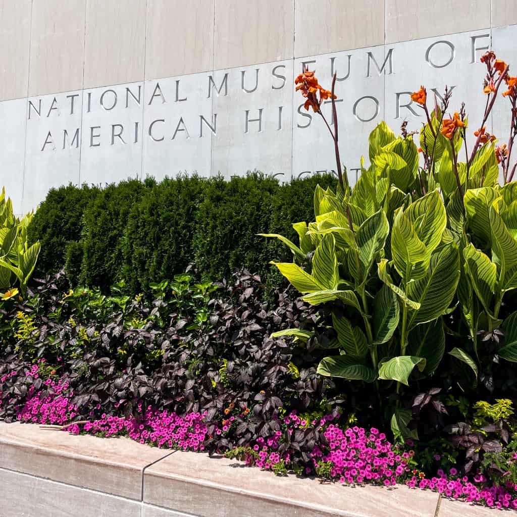 Exterior of the National Museum of American History with plants in front