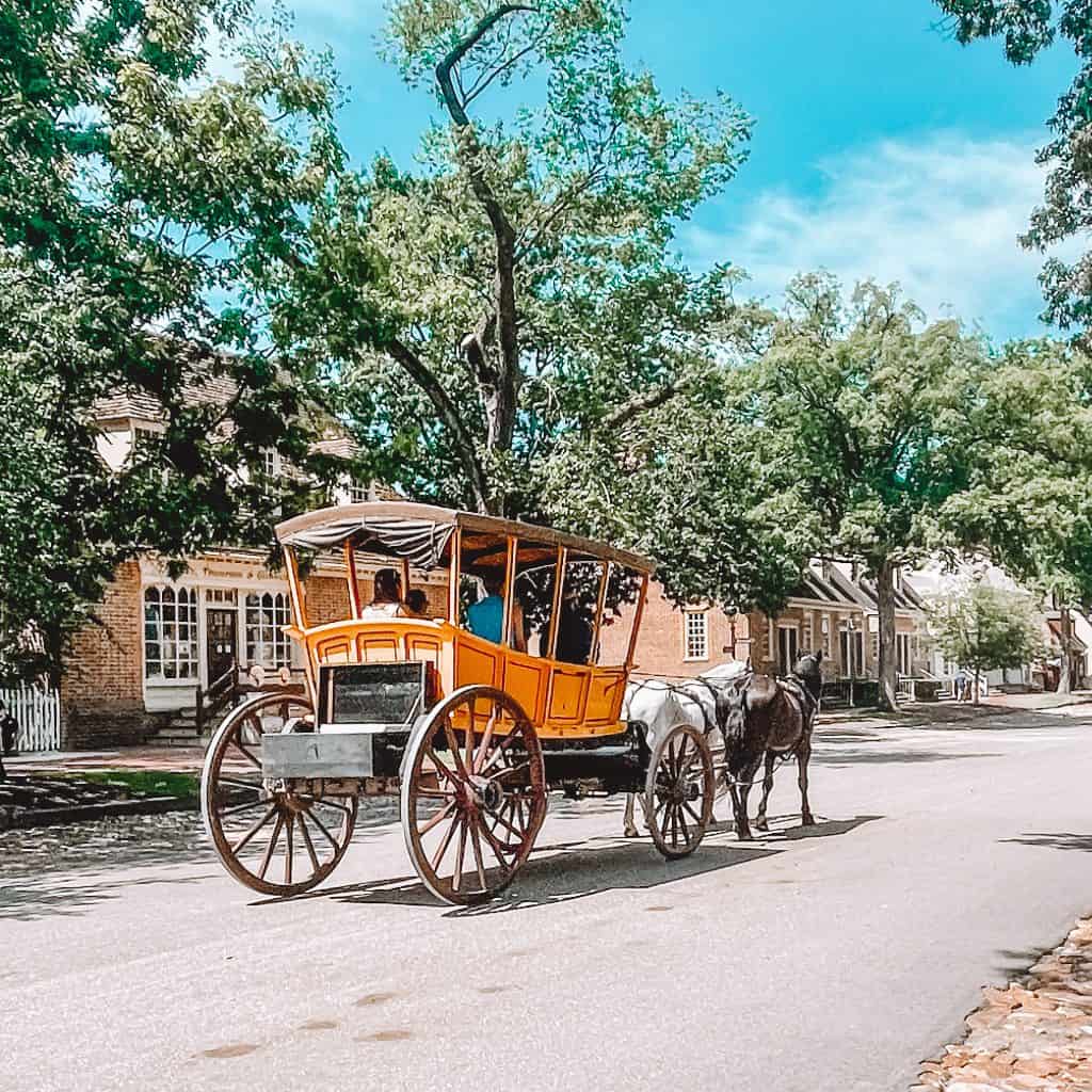 A horse and carriage at Colonial Williamsburg