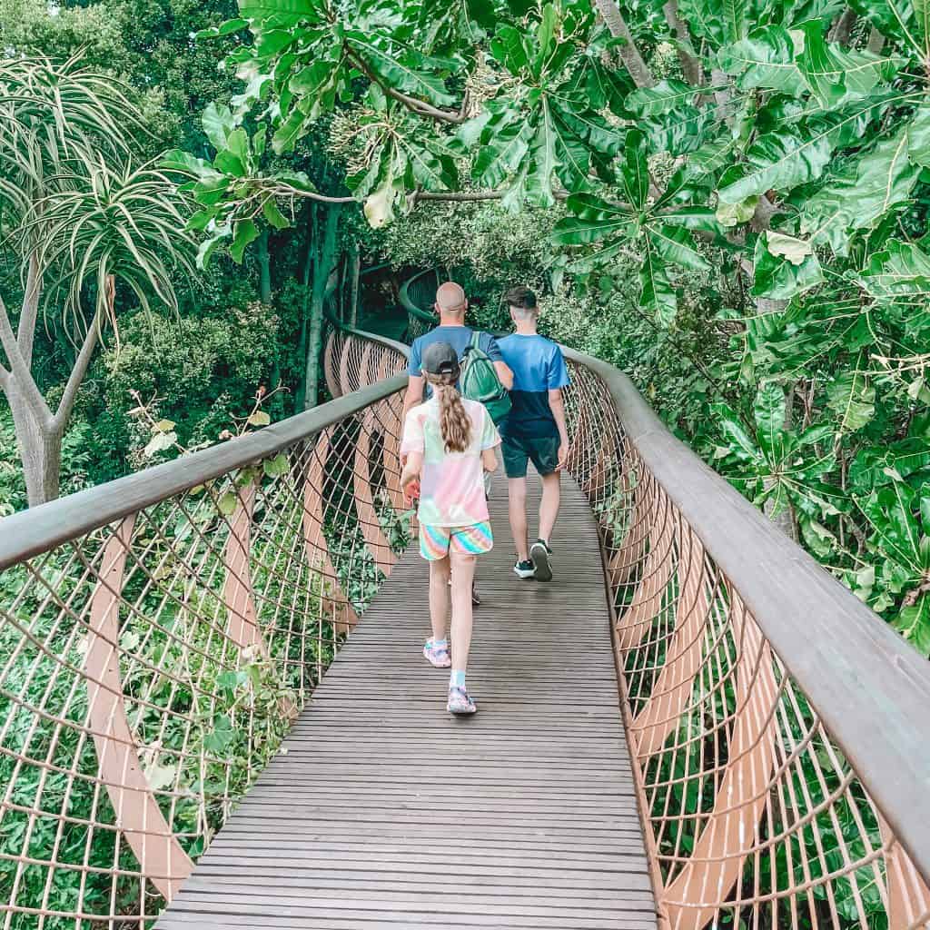 Man and two teens walking on a bridge in Kirstenbosch Gardens in Cape Town