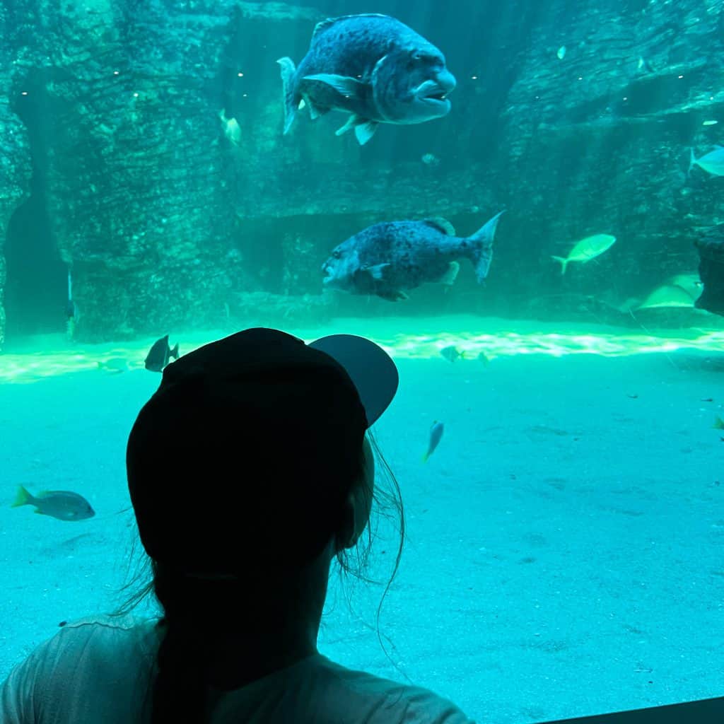 Child looking at fish at Two Oceans Aquarium in Cape Town