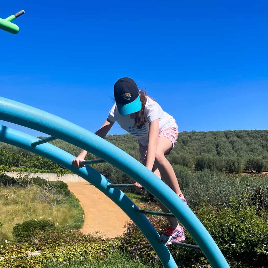 Child on climbing frame at Tokara wine farm in Stellenbosch