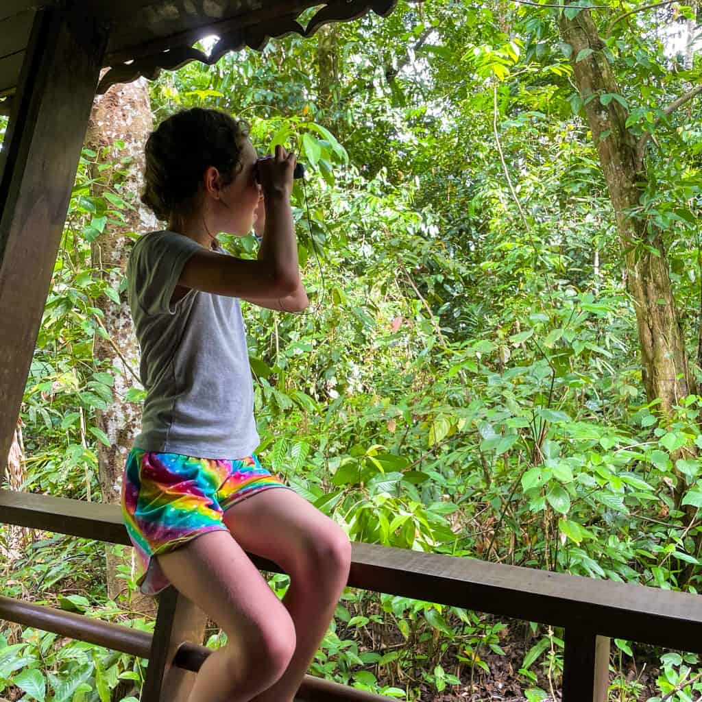 Girl looking out at the Borneo jungle with binoculars
