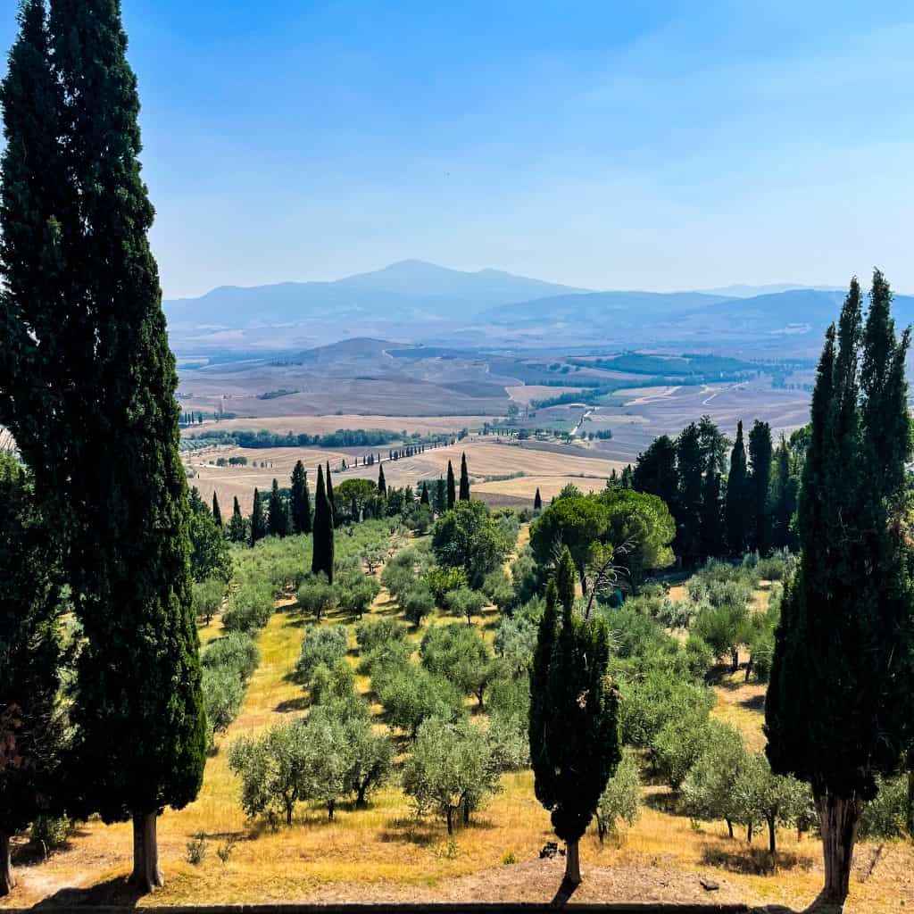 Fields and trees in the Tuscan countryside