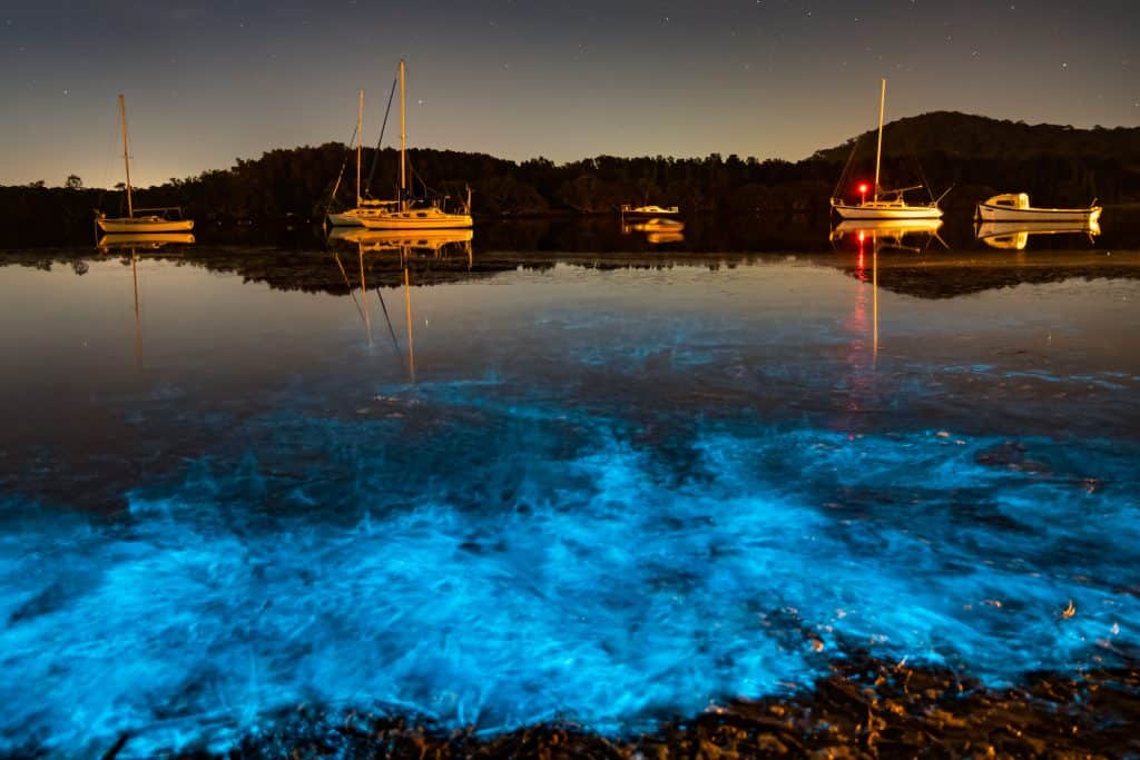 Blue Bioluminescence seen from the shore with boats in the background
