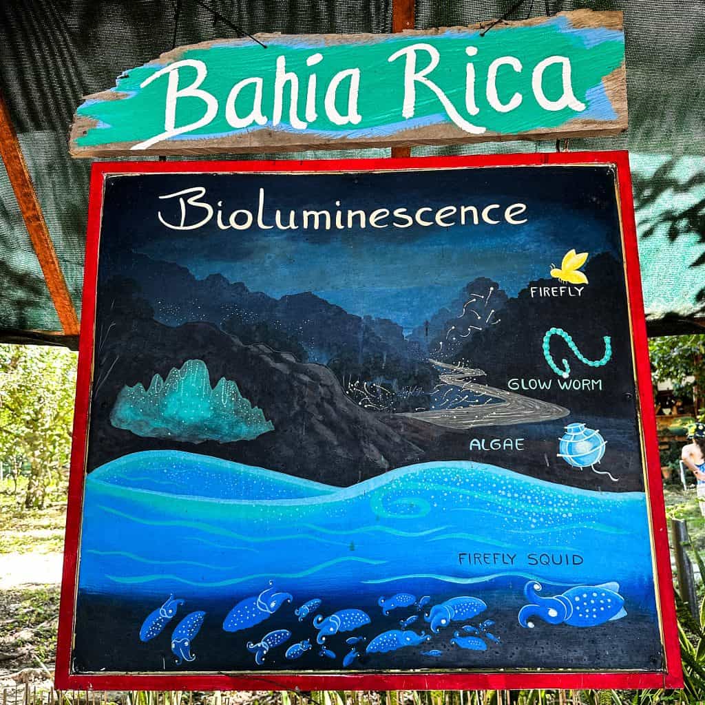 Bahia Rica Bioluminescent tour sign
