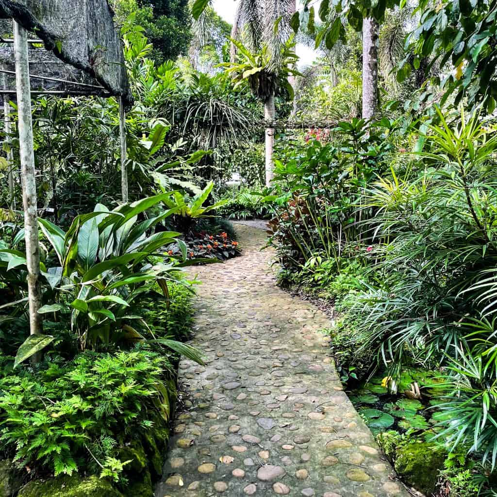 A winding pebbled path in jungle surroundings in Borneo