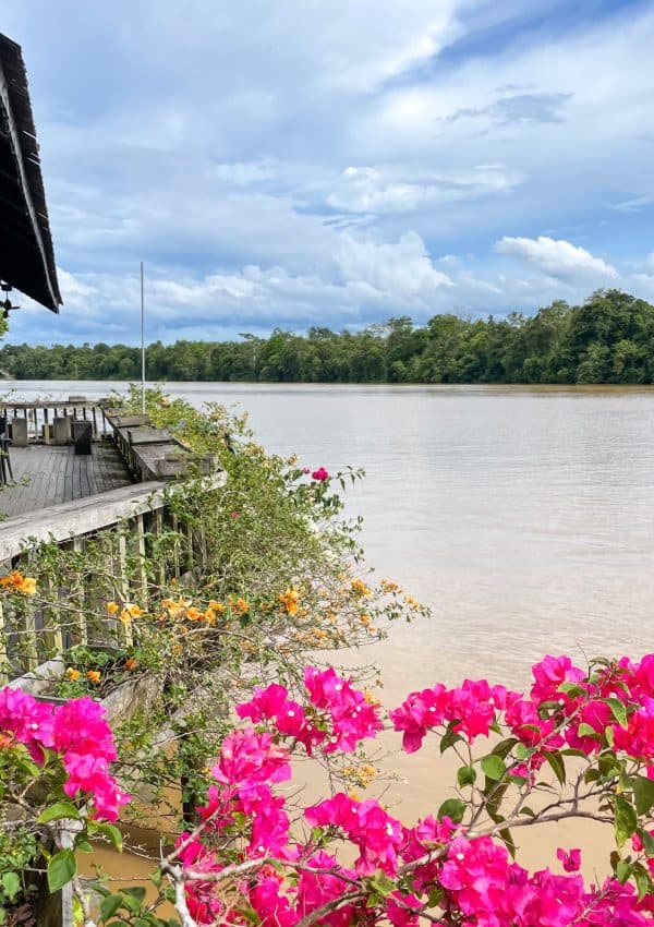 The Best Hotels In Borneo For Families