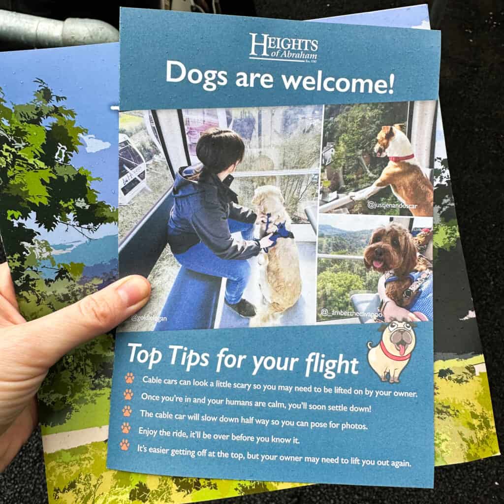 Leaflet stating 'Dogs are Welcome' for the Heights of Abraham