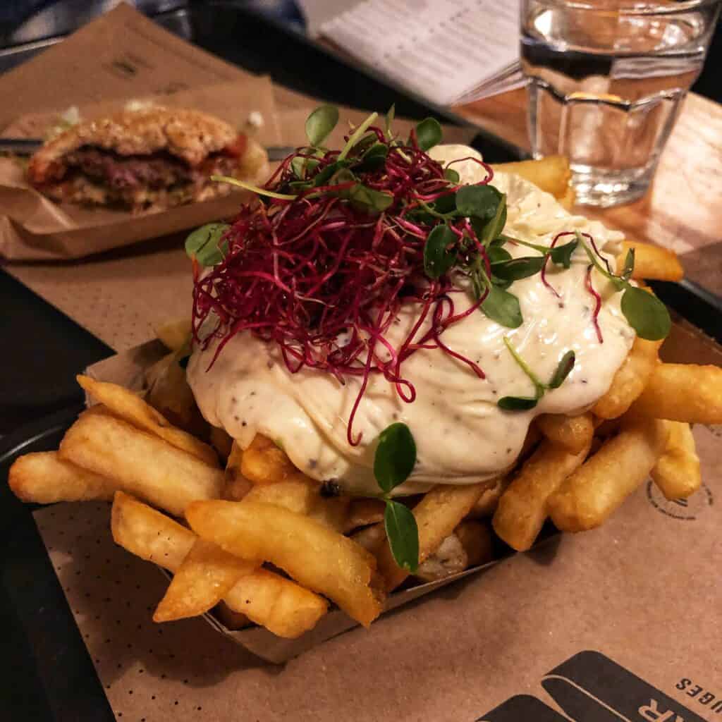 Belgian frites with a topping of mayonnaise 