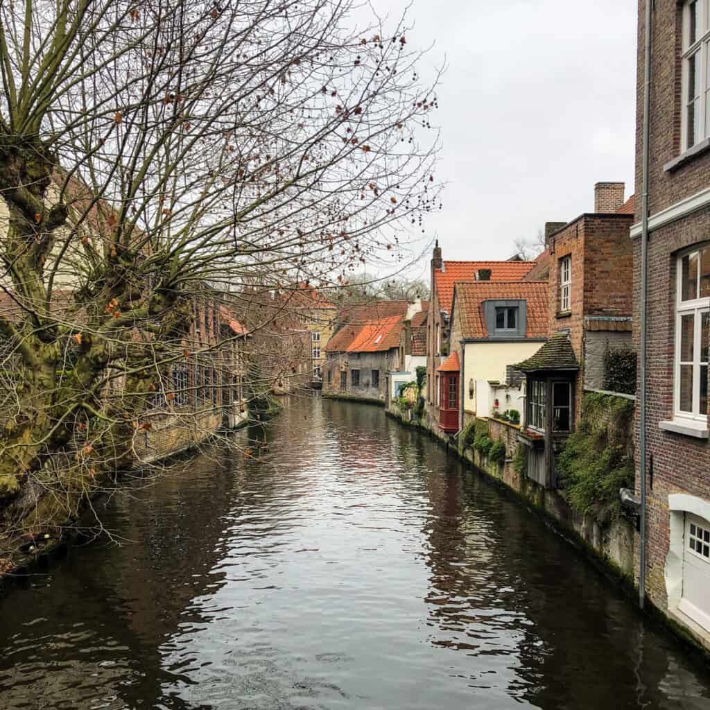 Canal with buildings along its edge in Bruges