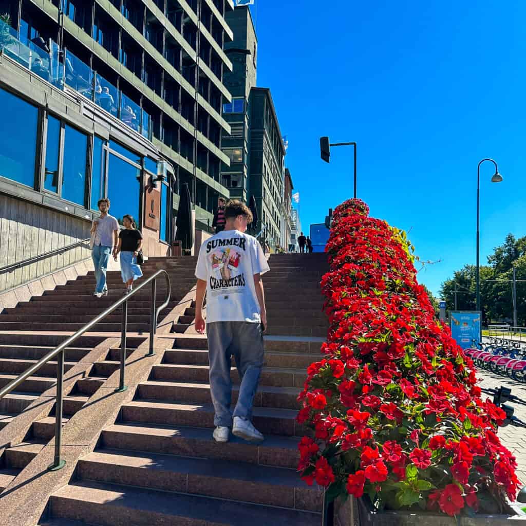 Boy walking up steps next to red flowers