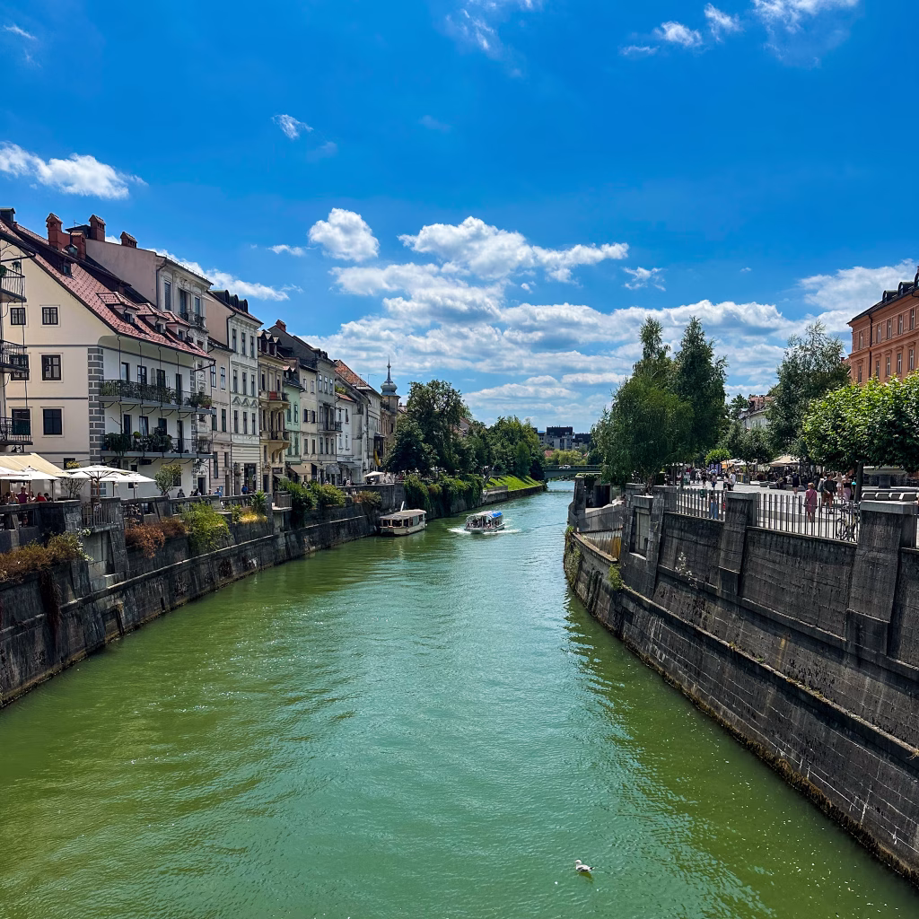 Green river with buildings set on one side in a city centre