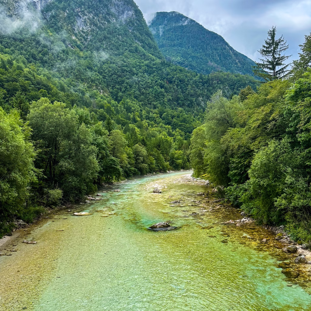 Green coloured river with trees and mountains on either side