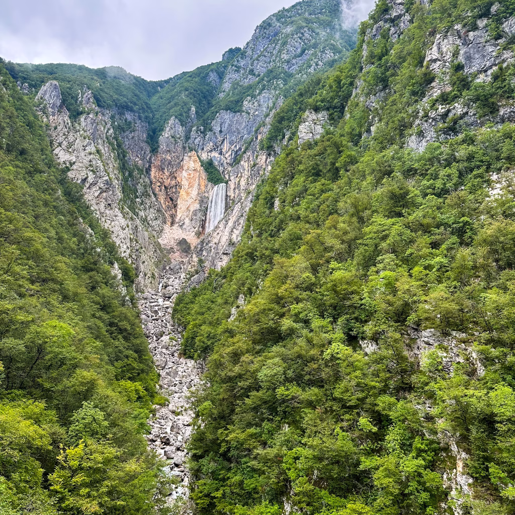 Waterfall surrounded by trees